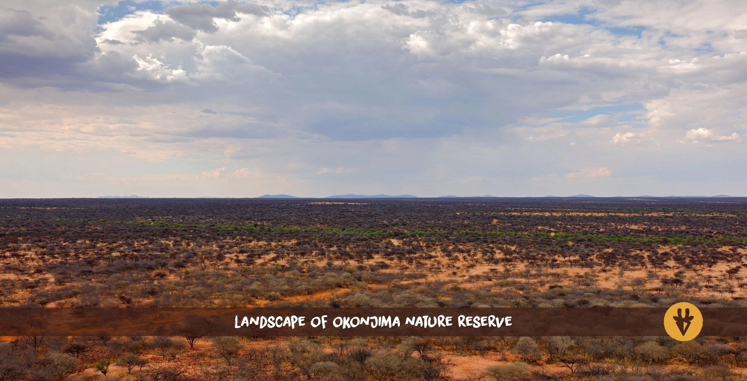 Wide landscape of Okonjima Nature Reserve in Namibia from above with bushes and trees