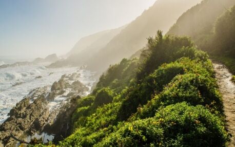 A coastal hiking trail overlooking the rugged shoreline along South Africa’s Garden Route.