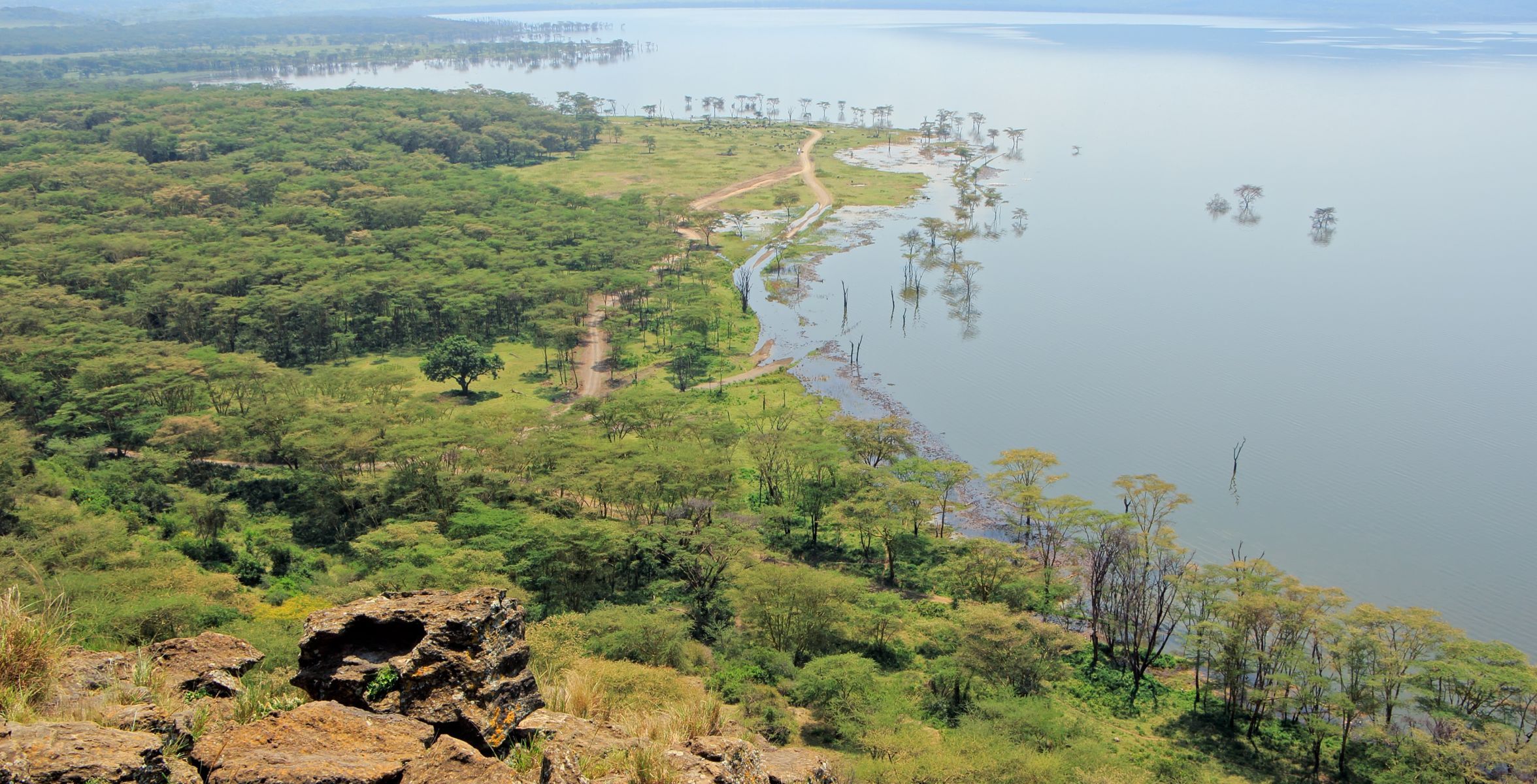 Drive from Solio Conservancy to Lake Nakuru National Park