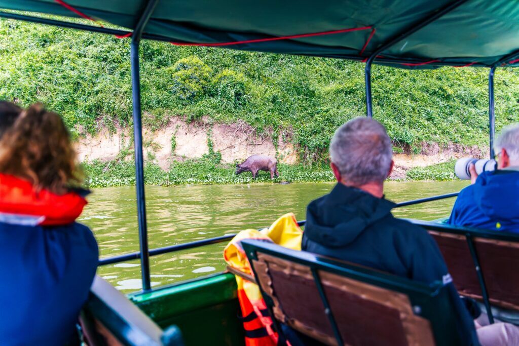 Boat safari_View from boat - Large