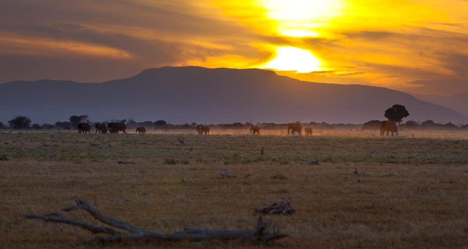 Tsavo-East-National-Park