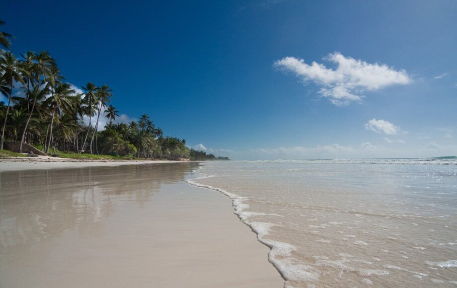 White sandy Diani Beach with palms on one side and the Indian Ocean on the other