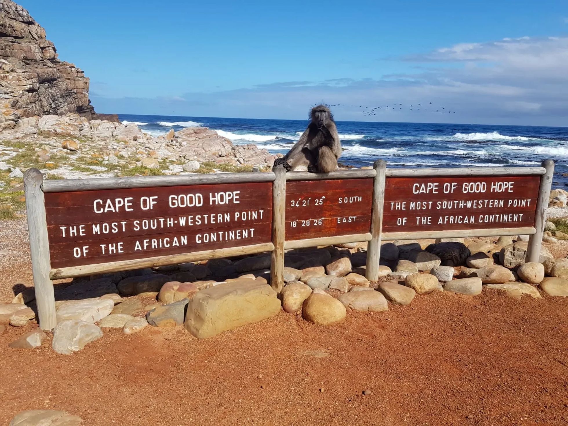 Cape of Good Hope, Cape Point and the African Penguins