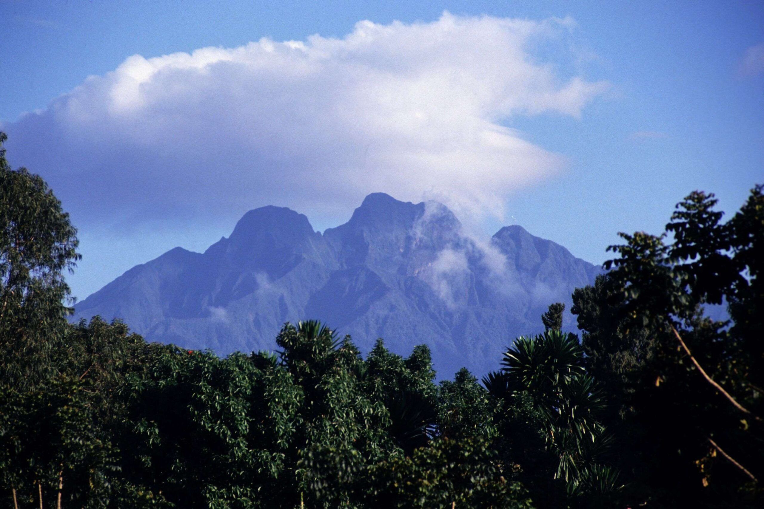 Hiking the Sabinyo Volcanoe in Mgahinga National Park