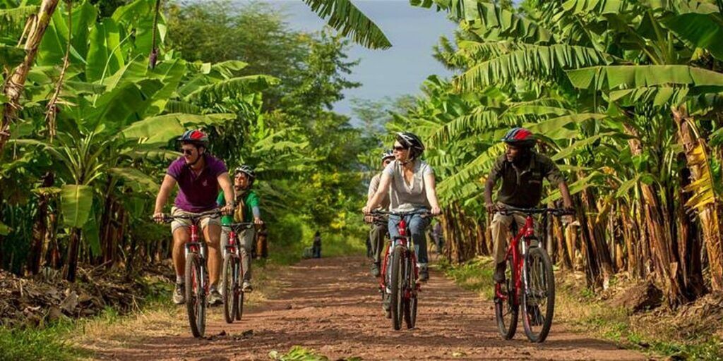 Five people cycle through a forest