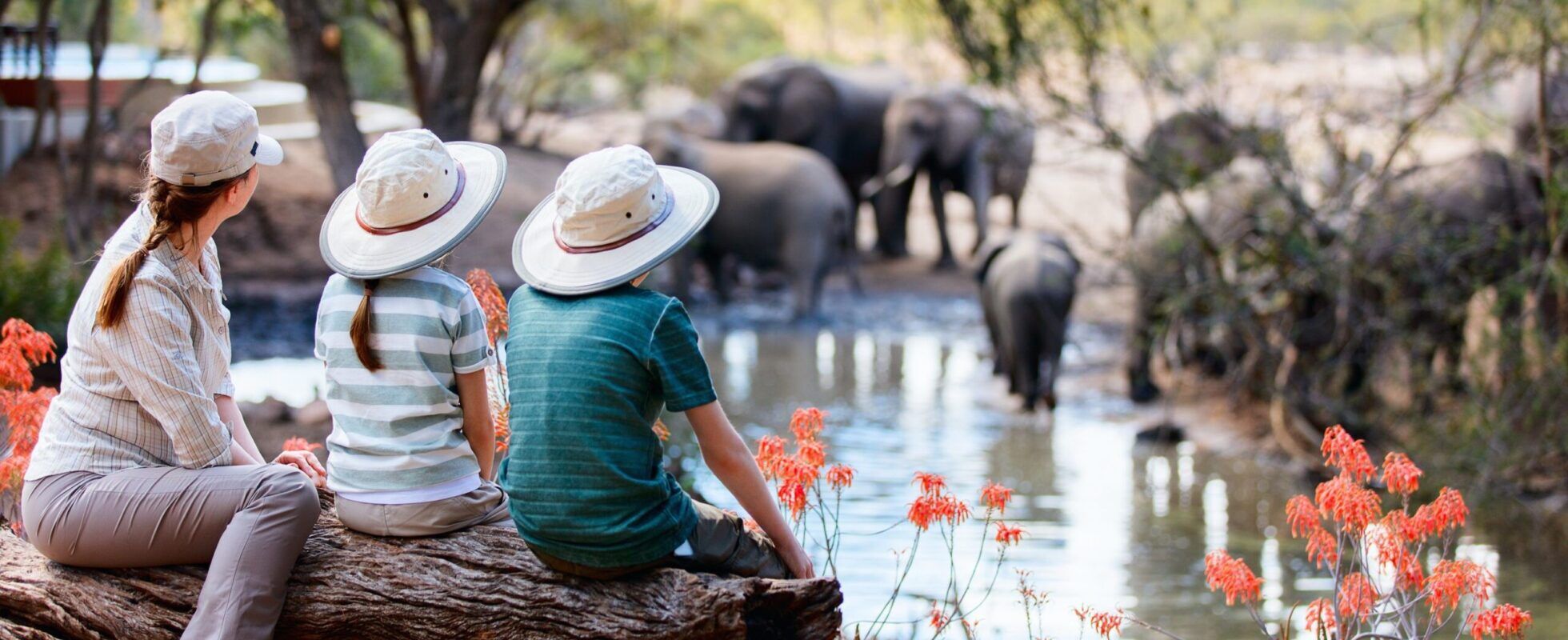 Woman and two kids sit on a tree trunk watching elephants in a waterhole