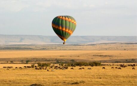 Hot air balloon over the Masai Mara with zebras and wildebeest in the savannah