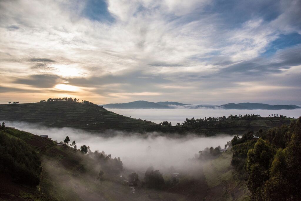 Misty Bwindi Impenetrable National Park with mountains in the background