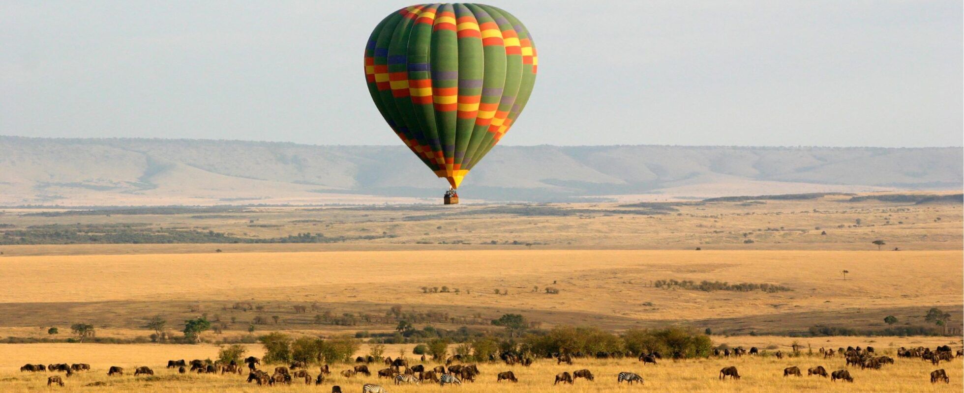 Hot air balloon over the Masai Mara with zebras and wildebeest in the savannah