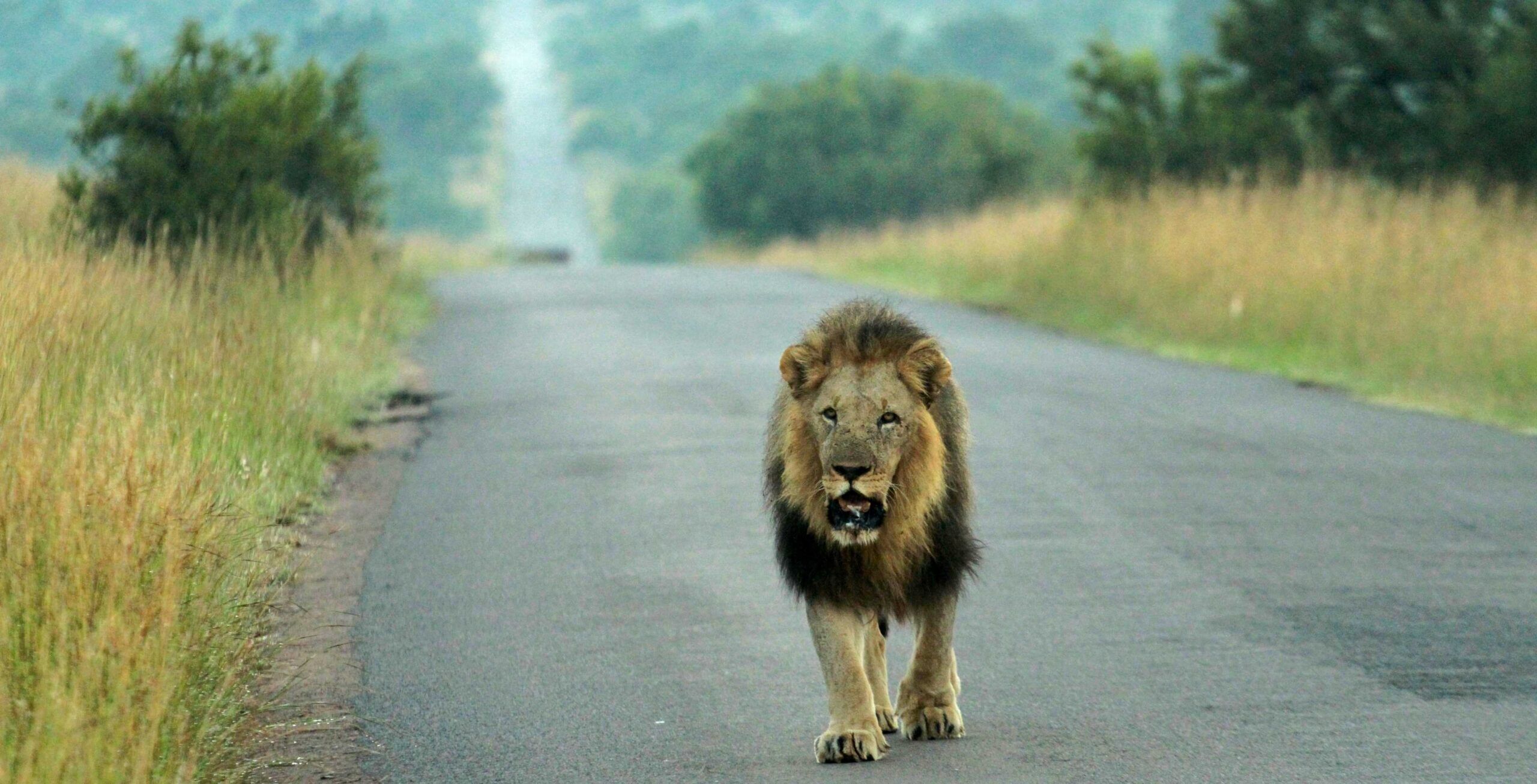 Drive from Tshwane (Pretoria) to Pilanesberg