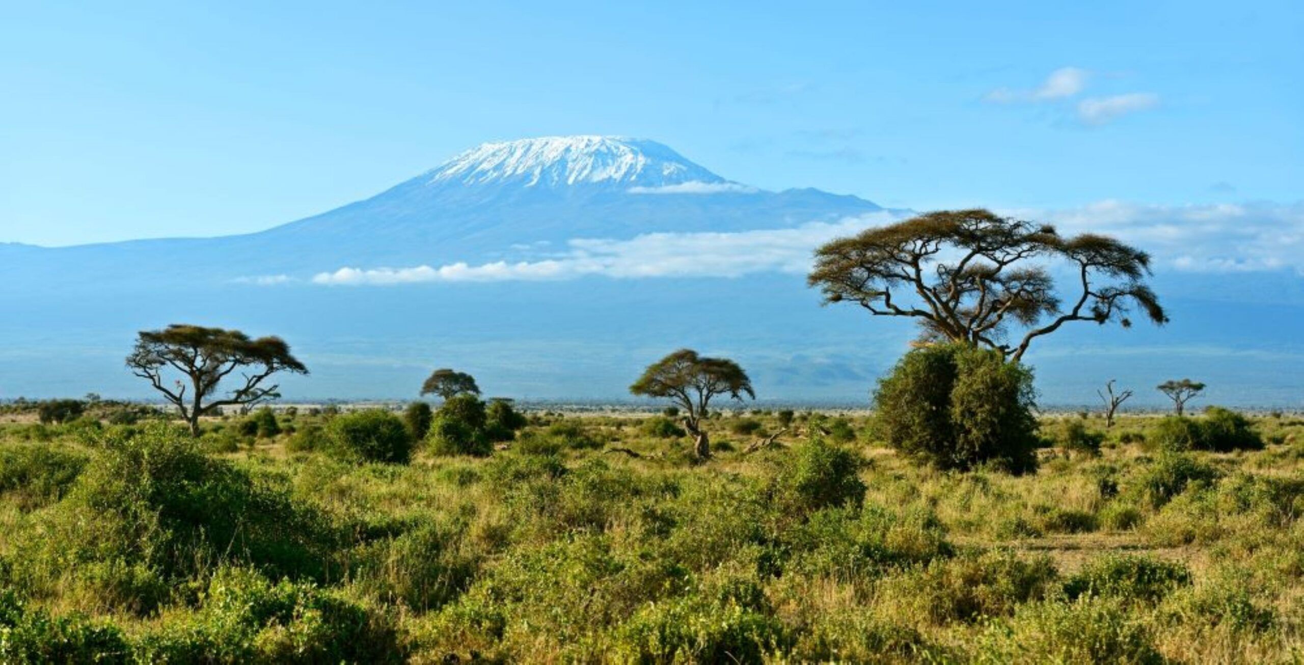 Drive from Nairobi to Amboseli National Park