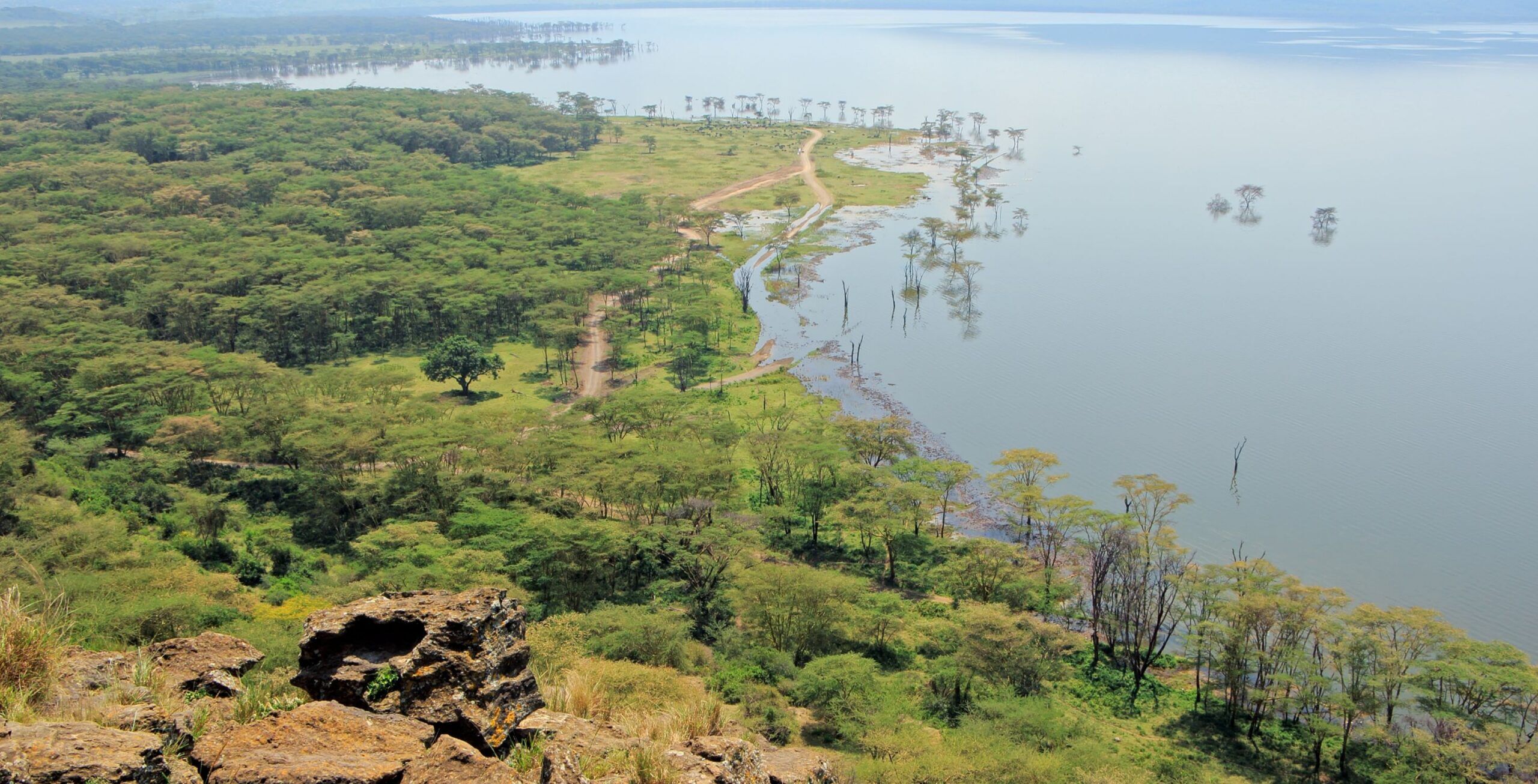Drive from Nairobi to Lake Nakuru National Park
