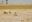 The salt pans of Makgadikgadi