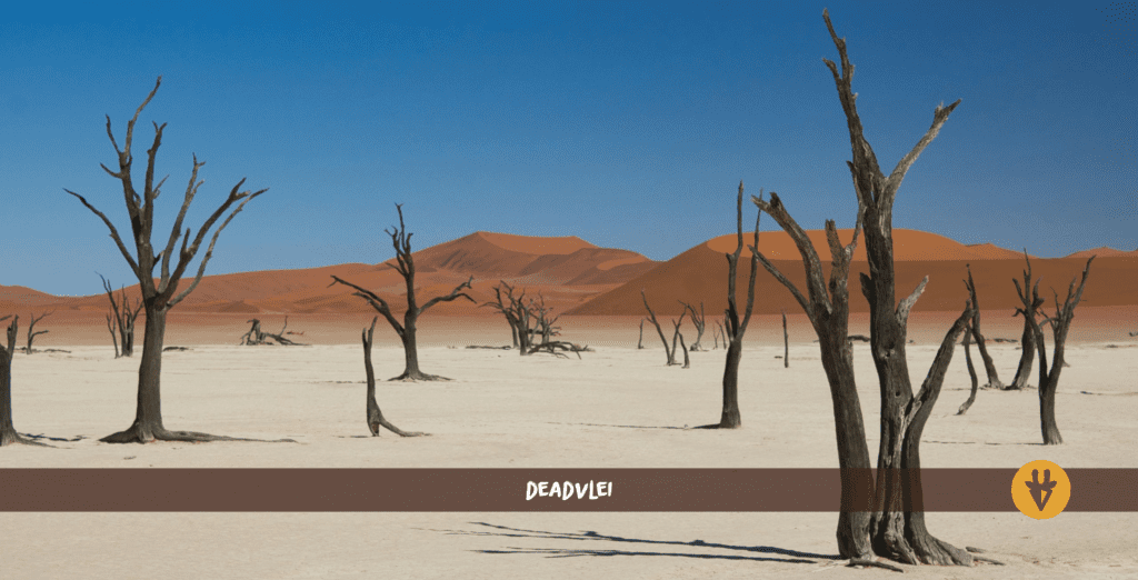 Deadvlei