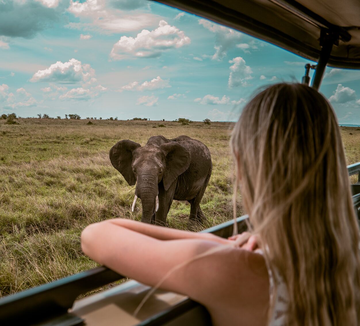 Woman looking at an elephant and out of a safari jeep in Kenya's Masai Mara