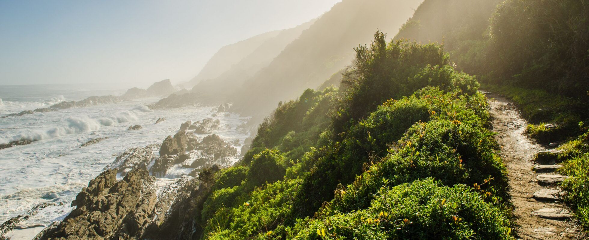 A coastal hiking trail overlooking the rugged shoreline along South Africa’s Garden Route.