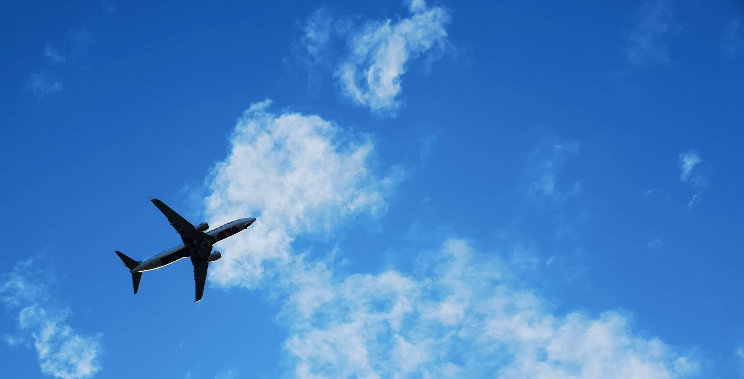 Flight to Diani Beach (included in the price)
