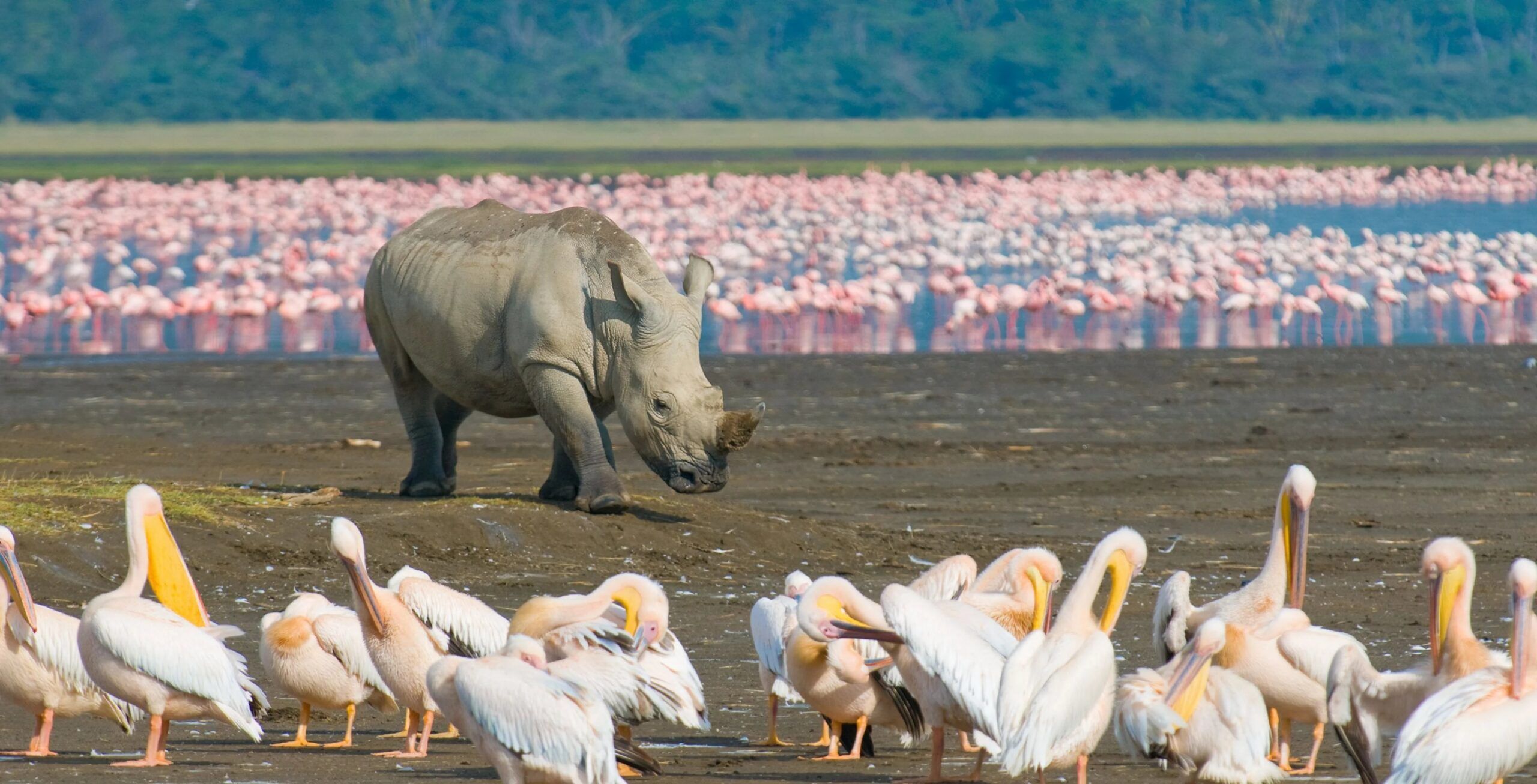 Lake Nakuru National Park