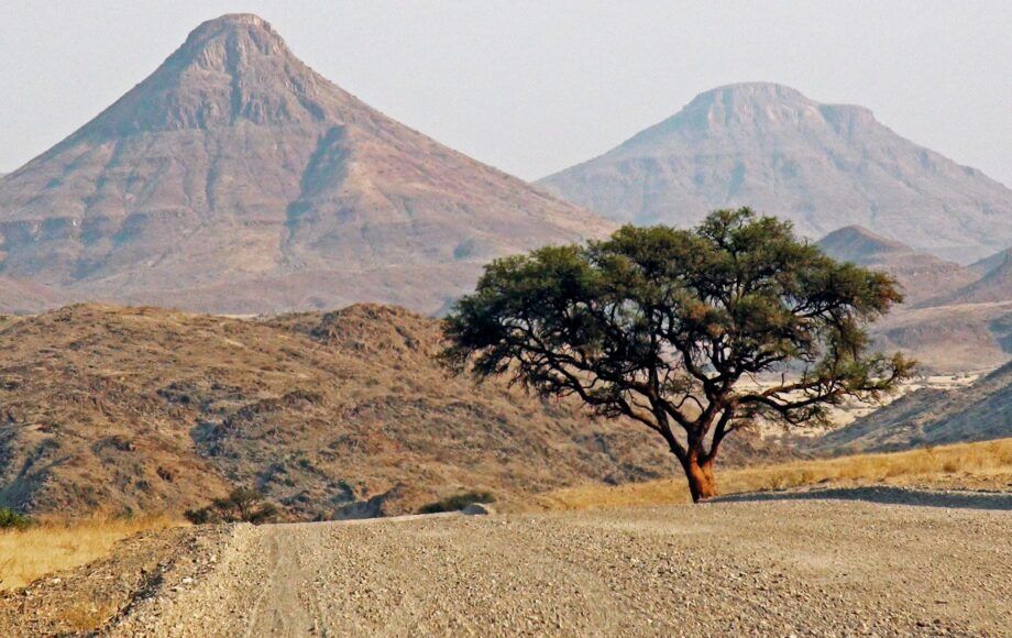 Gravel road in Damaraland with big mountains in the background and a tree at the side of the road