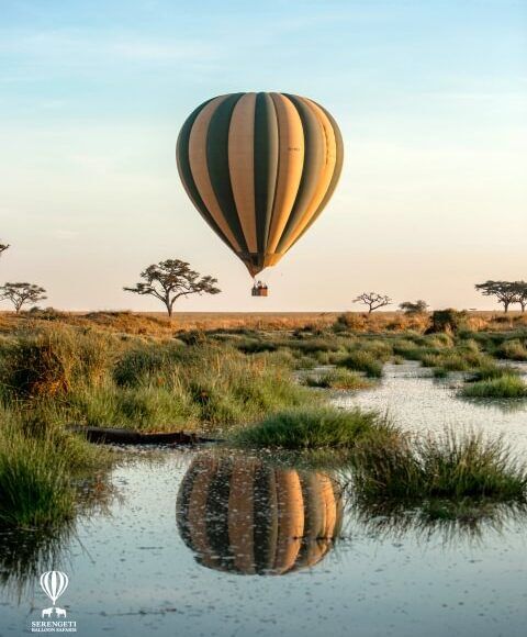 Hot air balloon flying low over the Serengeti with a reflection of it in a pond