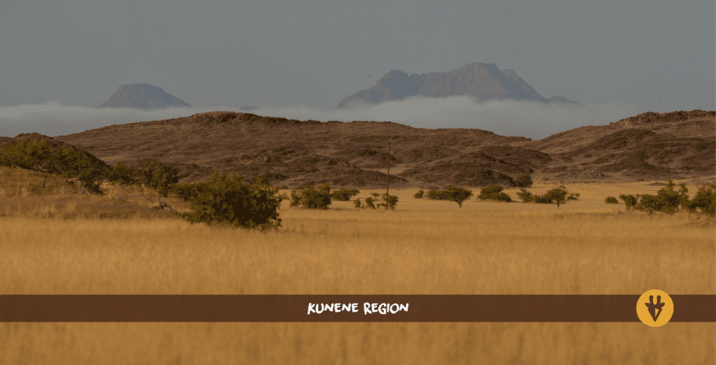 Kunene Region of Namibia with high yellow grass in front and mountains in the back