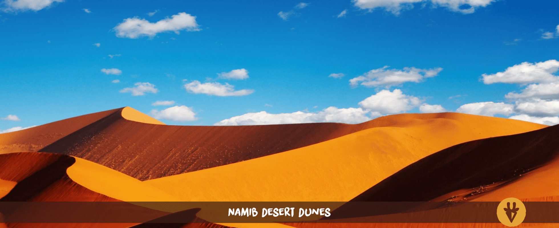 Waving dunes of the Namib desert against a blue sky with white clouds