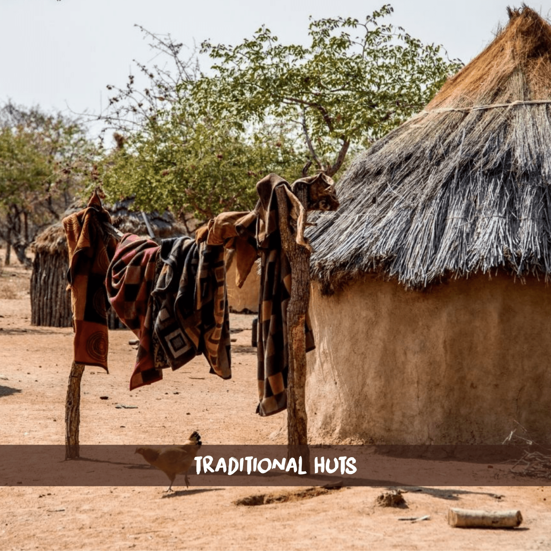 Several traditional round huts with reet and grass in a Himba village with clothes on a rack and a chicken on the ground