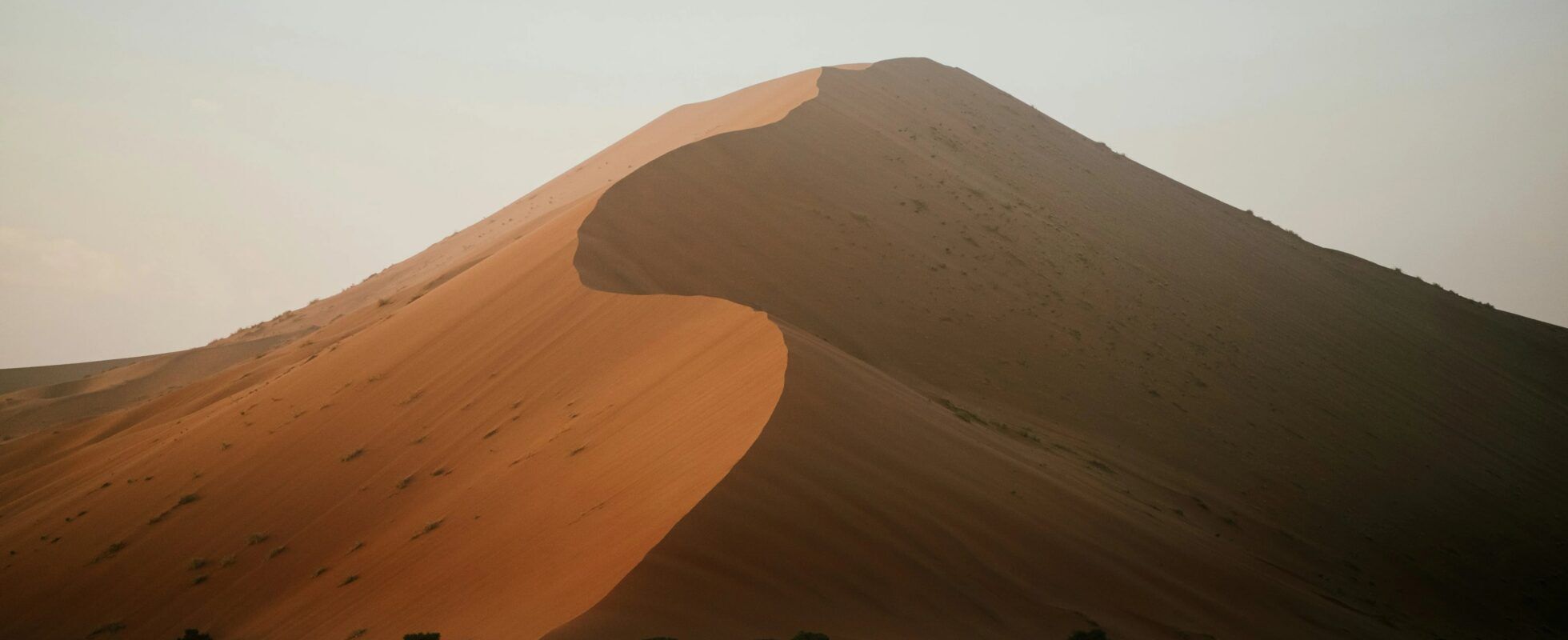 Huge, wavy sand dune from the front during sunset in Sossusvlei
