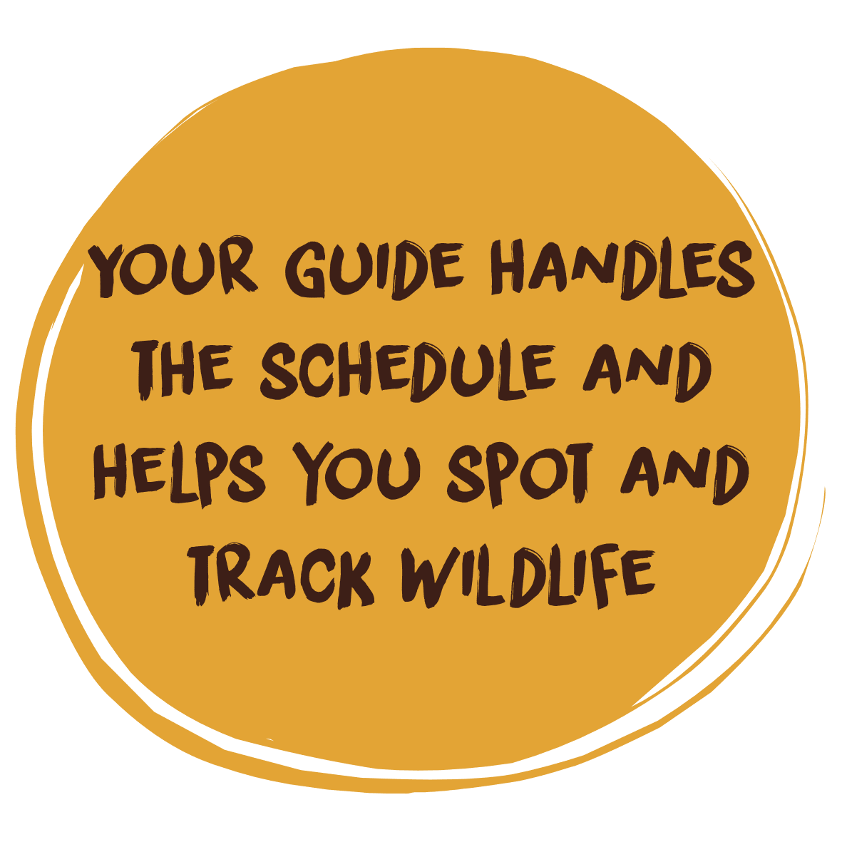 Guide handles everything