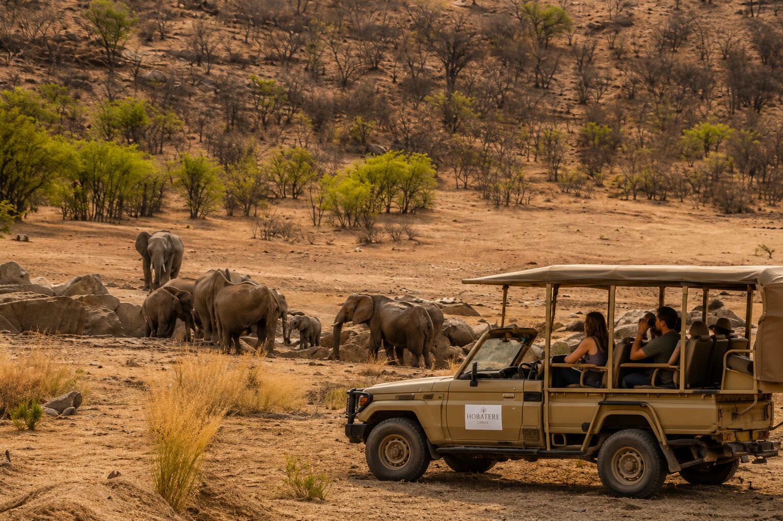 Game drive in Hobatere Concession