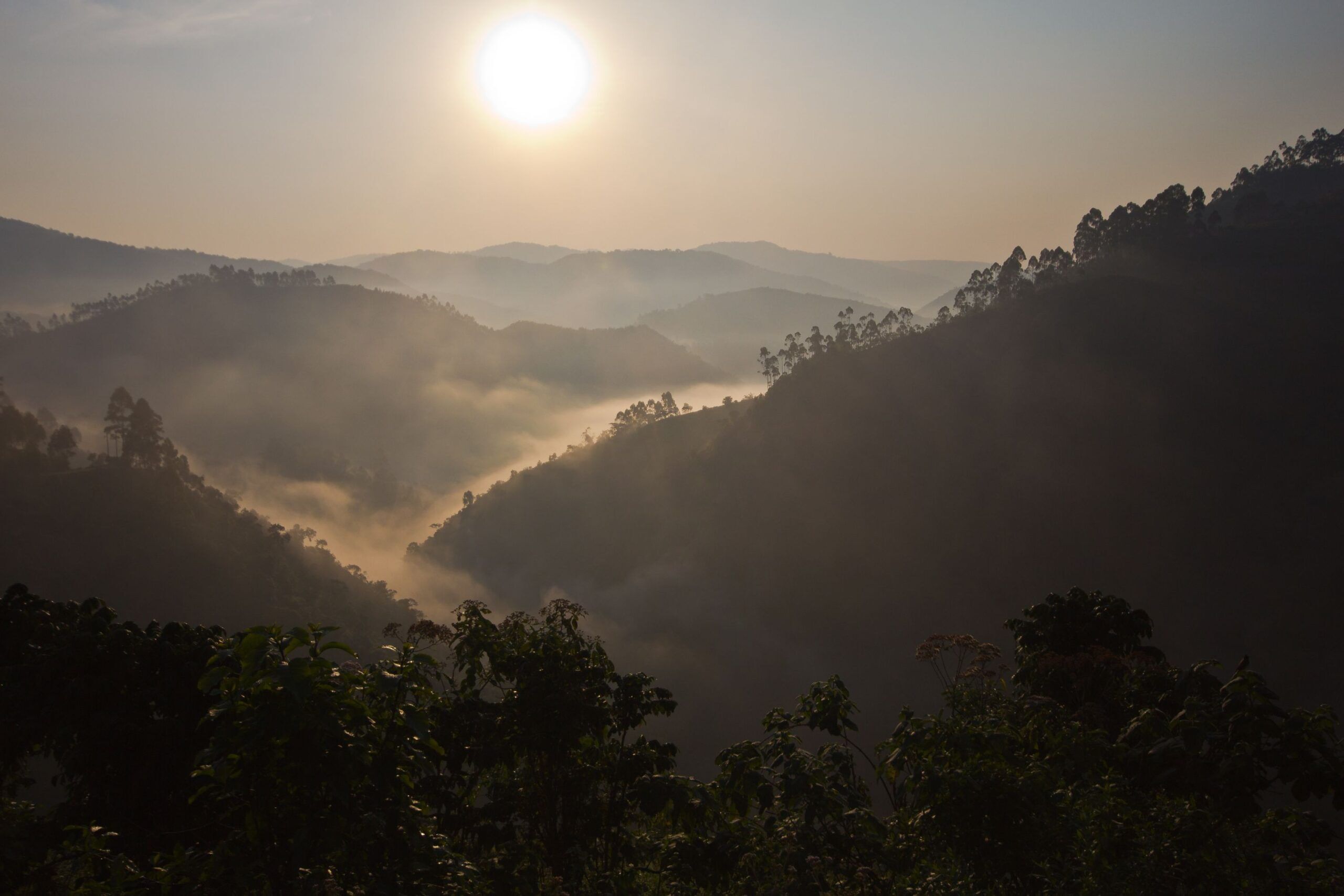 Mist over the mountains of Bwindi Impenetrable National Park in the sunlight
