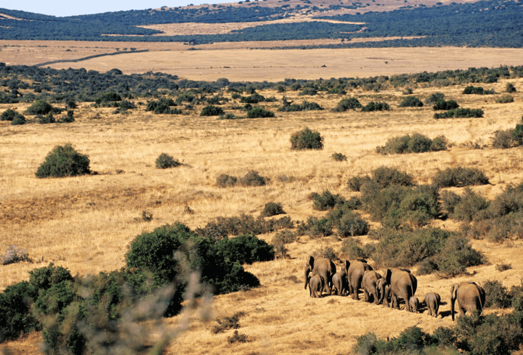Eastern Cape Landschaft Südafrika