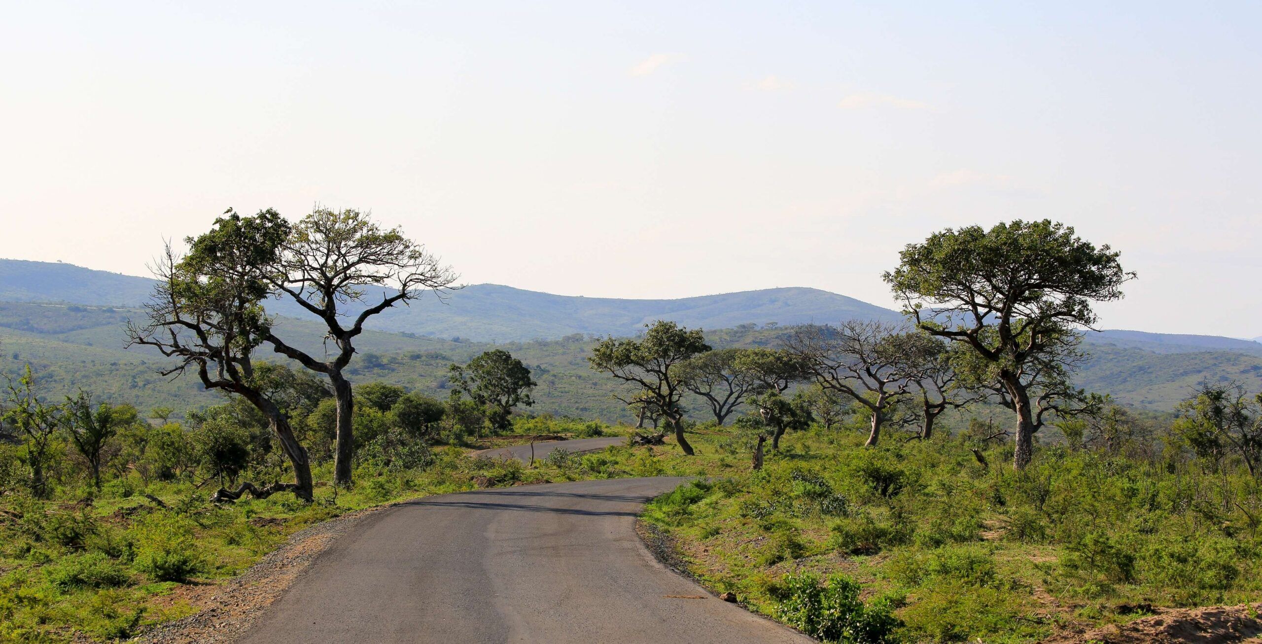 Drive from southern Drakensberg to the Hluhluwe-iMfolozi Game Reserve