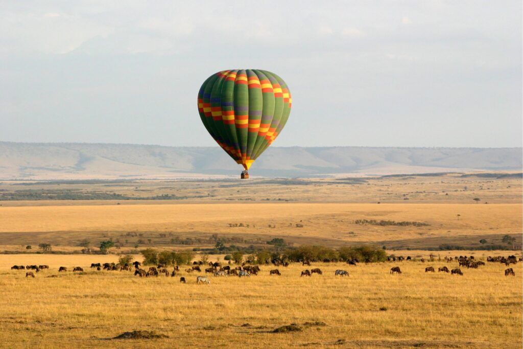 Hot air balloon over the Masai Mara with zebras and wildebeest in the savannah