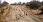 Drive from Hoedspruit to Kruger National Park – Phalaborwa Gate