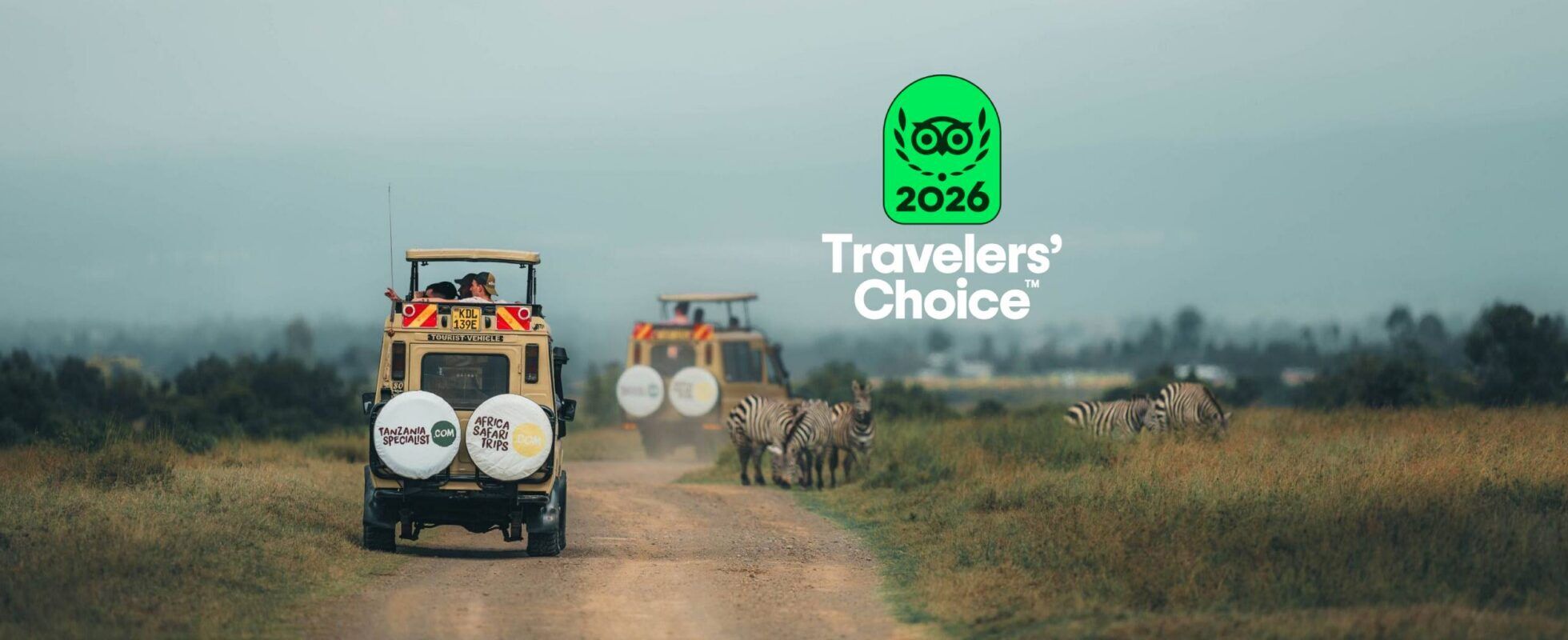 Safari vehicles driving through the African savannah alongside zebras, featuring the 2026 Tripadvisor Travelers’ Choice award, during a wildlife safari with Africa Safari Trips.