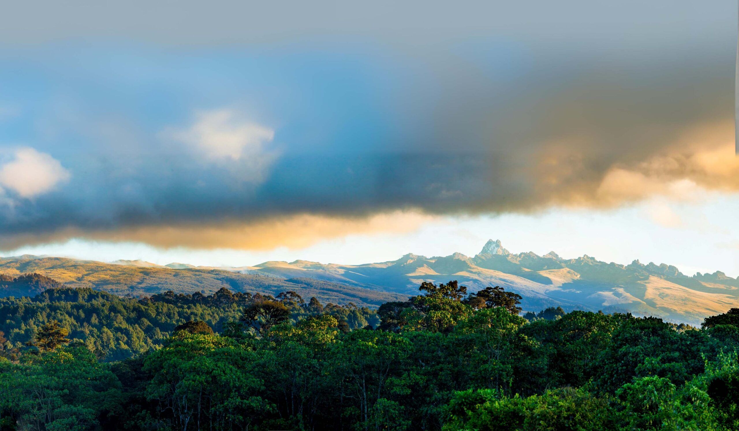 Mount Kenya via de Sirimon Route (5/5) | Old Moses Camp (3,340 m/10,958 ft) - Sirimon Gate (2,640 m/8,661 ft) - Nanyuki