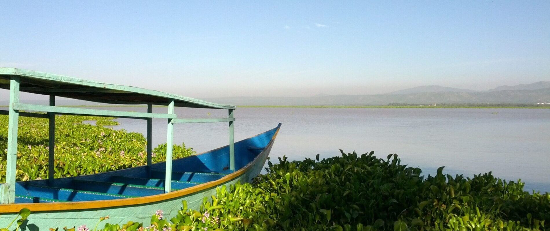 Wooden boat in the green grass at Lake Victoria