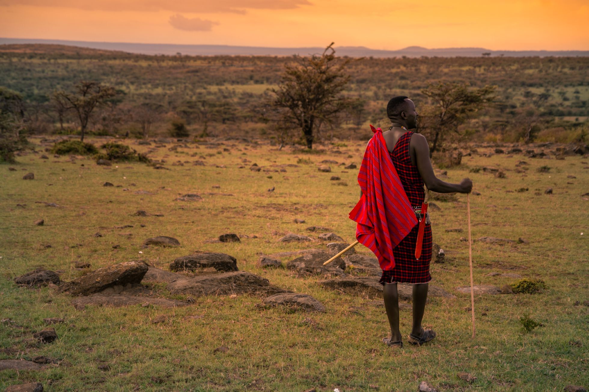 Walking safari at Zebra Plains