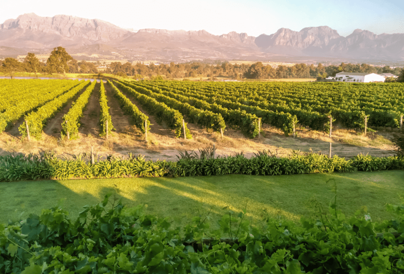Paarl Winelands Südafrika