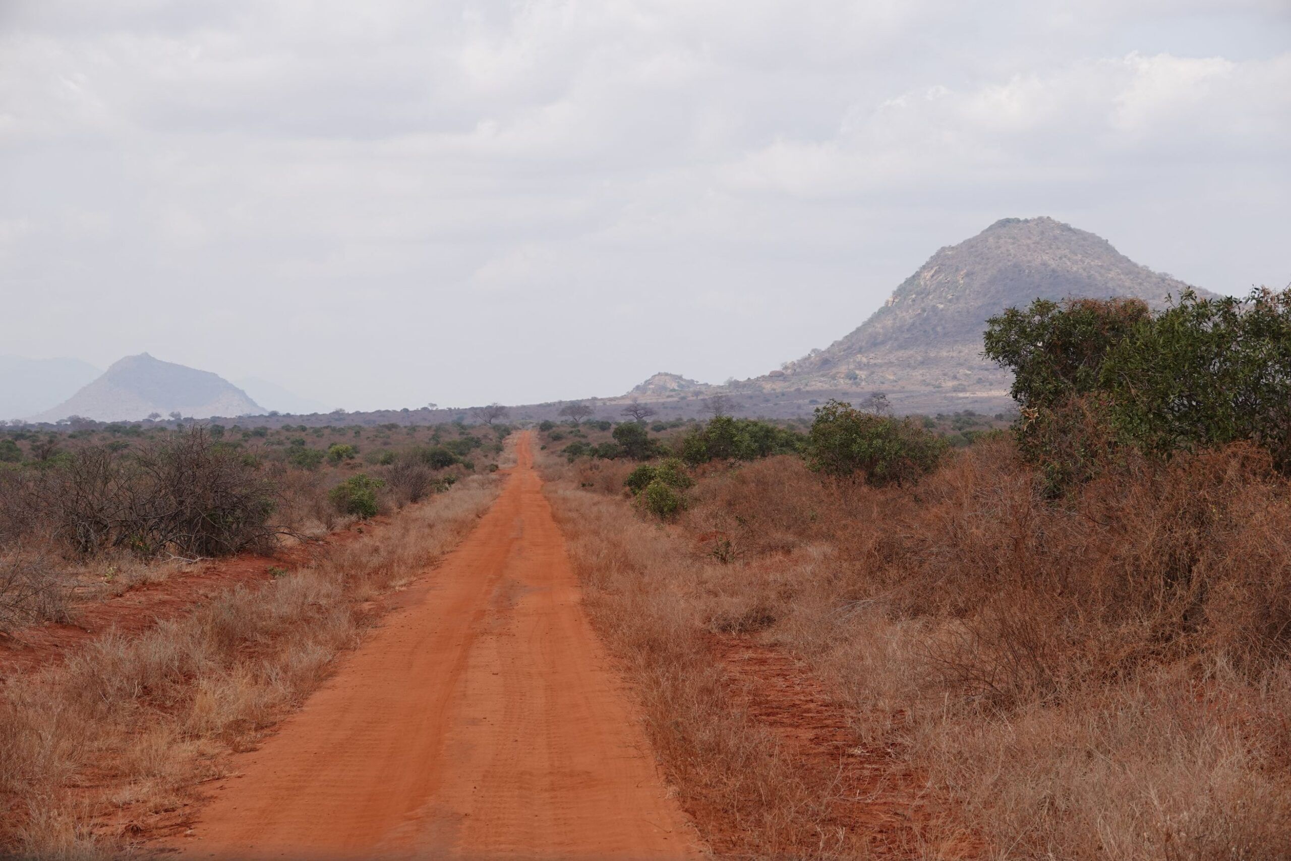 Drive from Taita Hills Wildlife Sanctuary to Tsavo West National Park