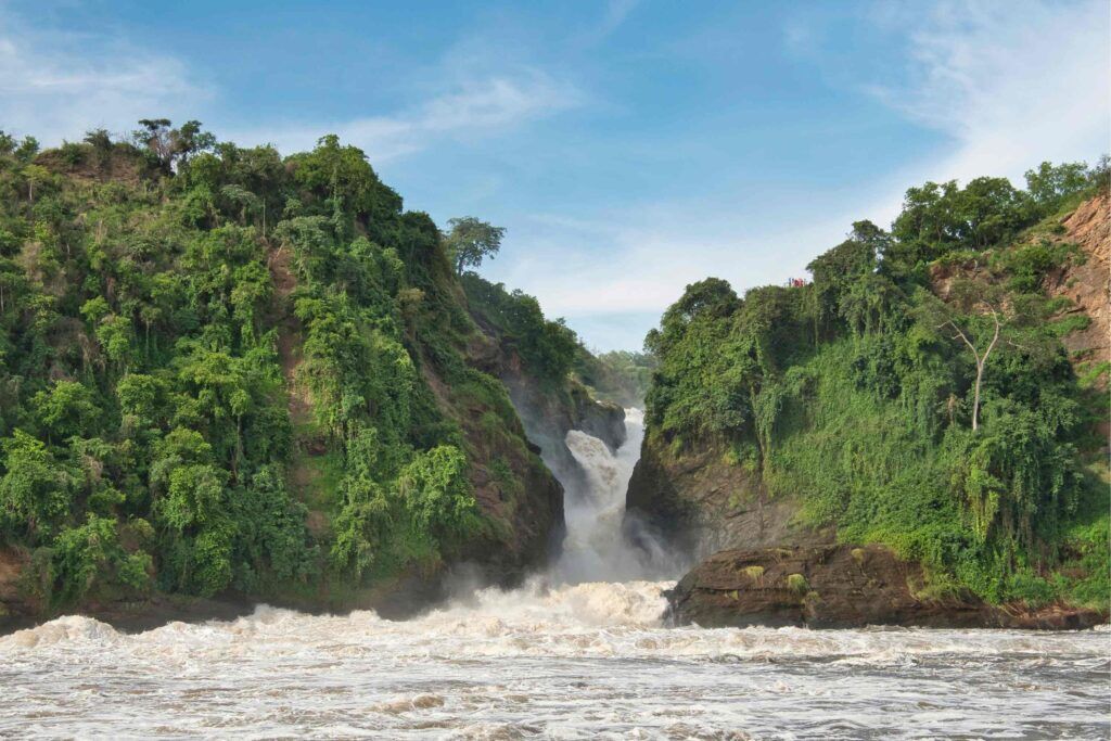 Murchison Falls waterfalls falling through gorge with green trees around