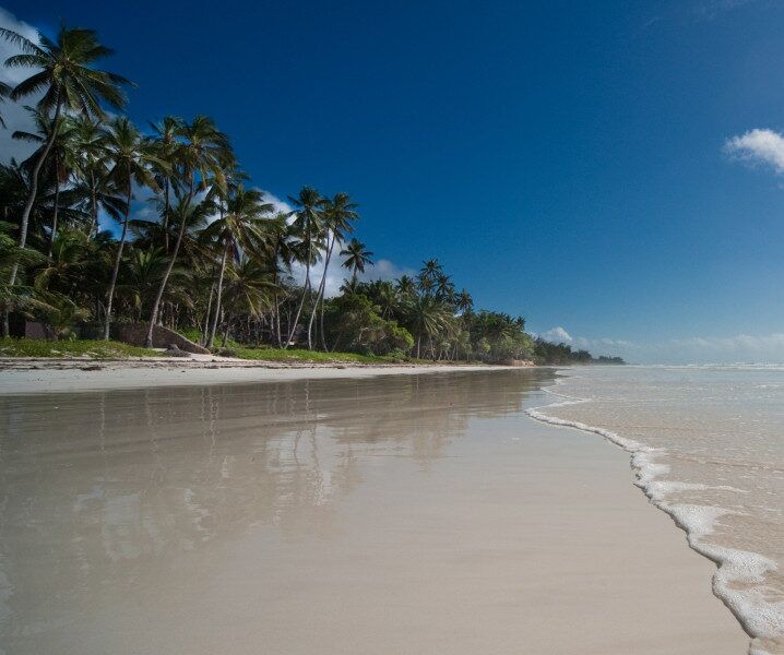 White sand of Diani Beach with palms and sea