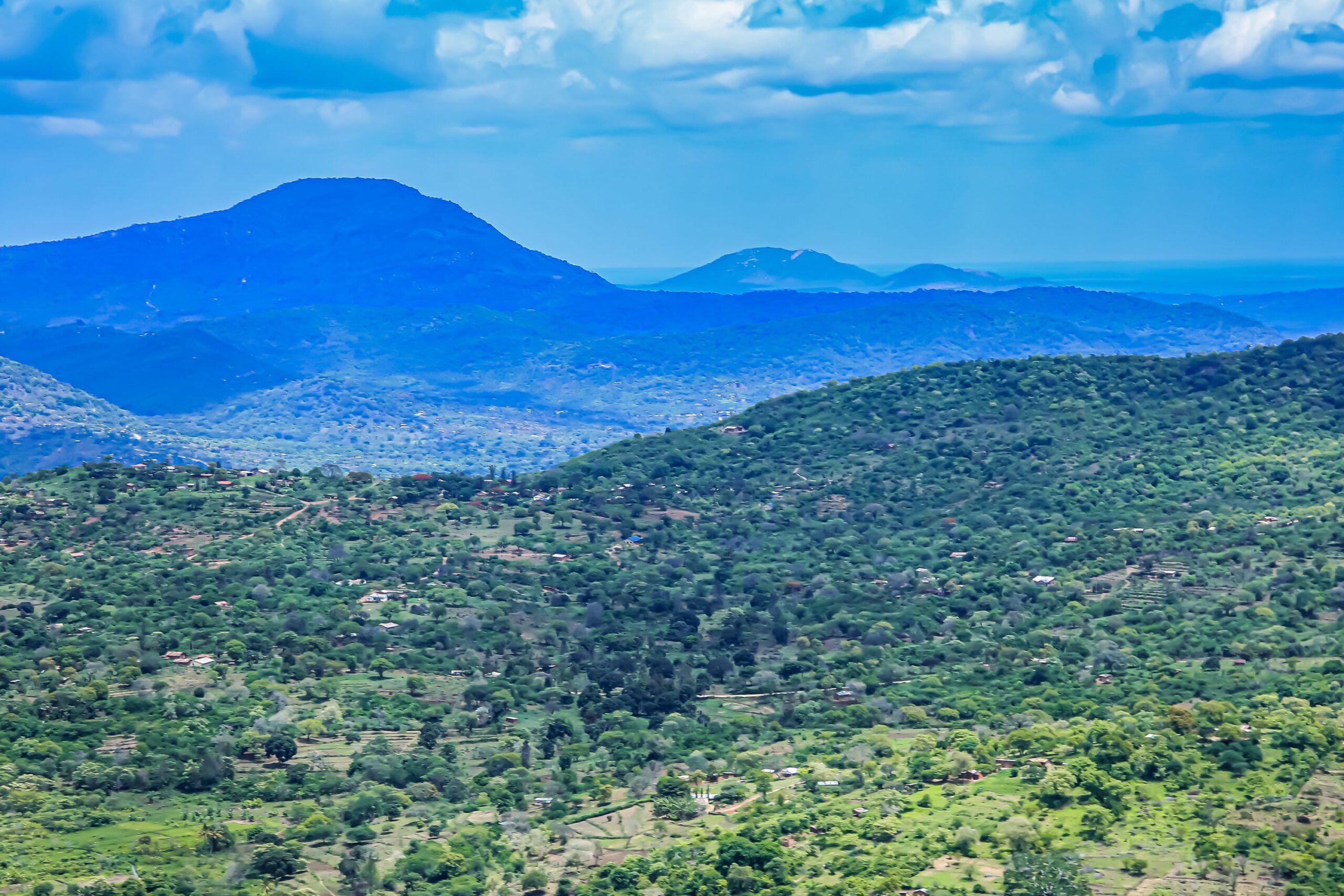 Taita Hills with trees and mountains in the background
