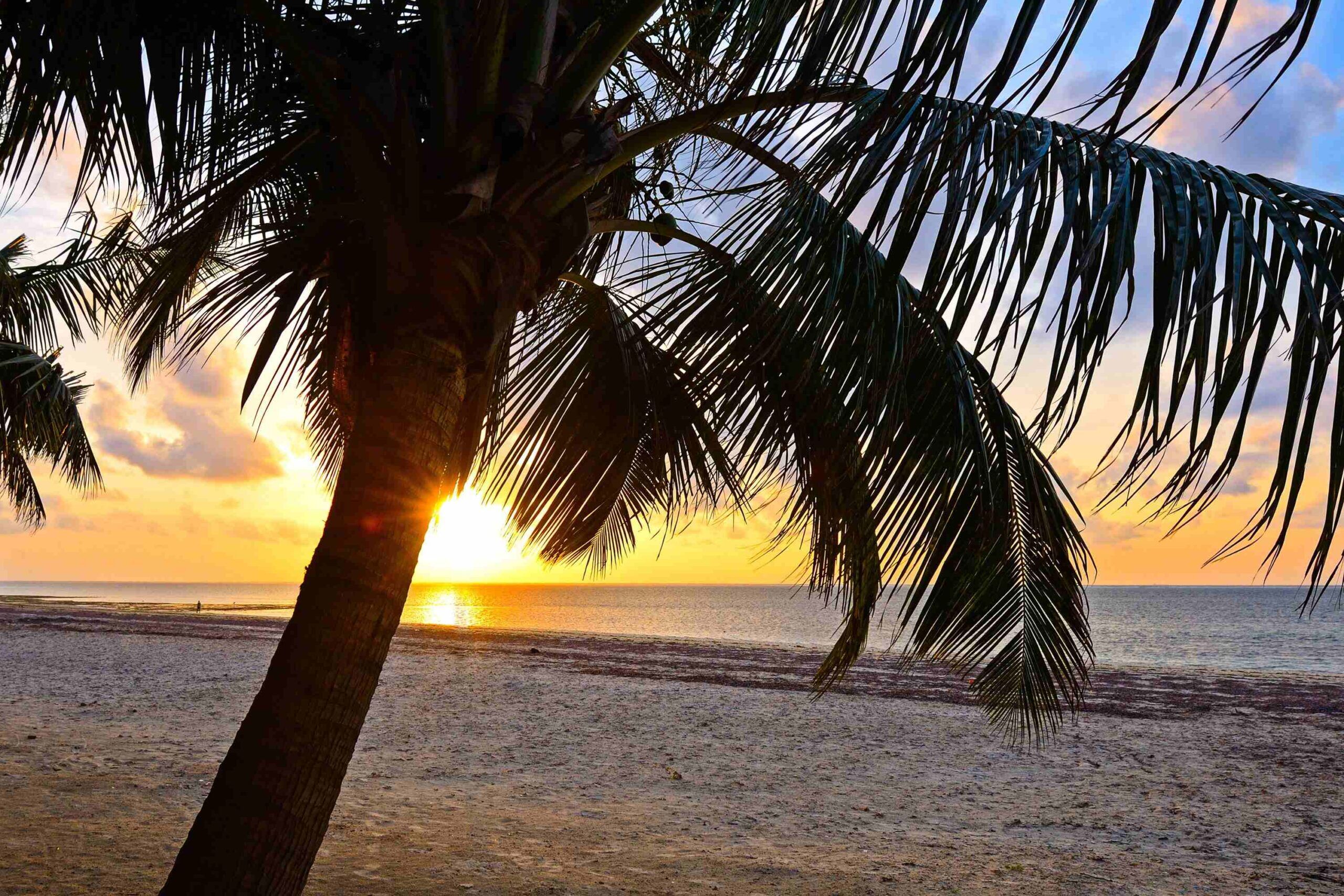 Sandy Diani Beach with sunset and palm tree