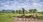 Kruger National Park