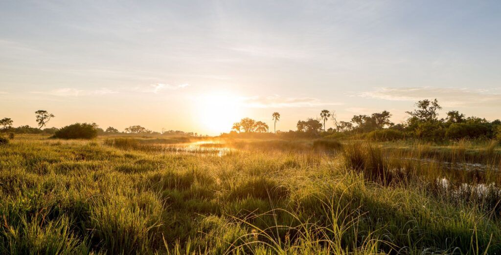 Sunset above the Okavango Delta with lush greenery, a river and trees