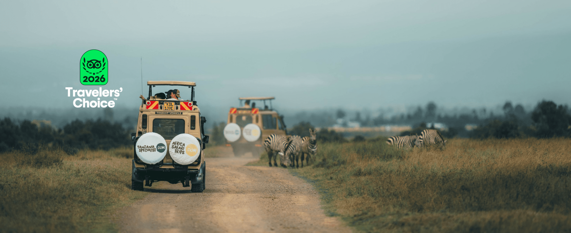 Safari vehicles driving through the African savannah alongside zebras, featuring the 2026 Tripadvisor Travelers’ Choice award, during a wildlife safari with Africa Safari Trips.