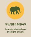 Wildlife delays are part of travelling through Botswana
