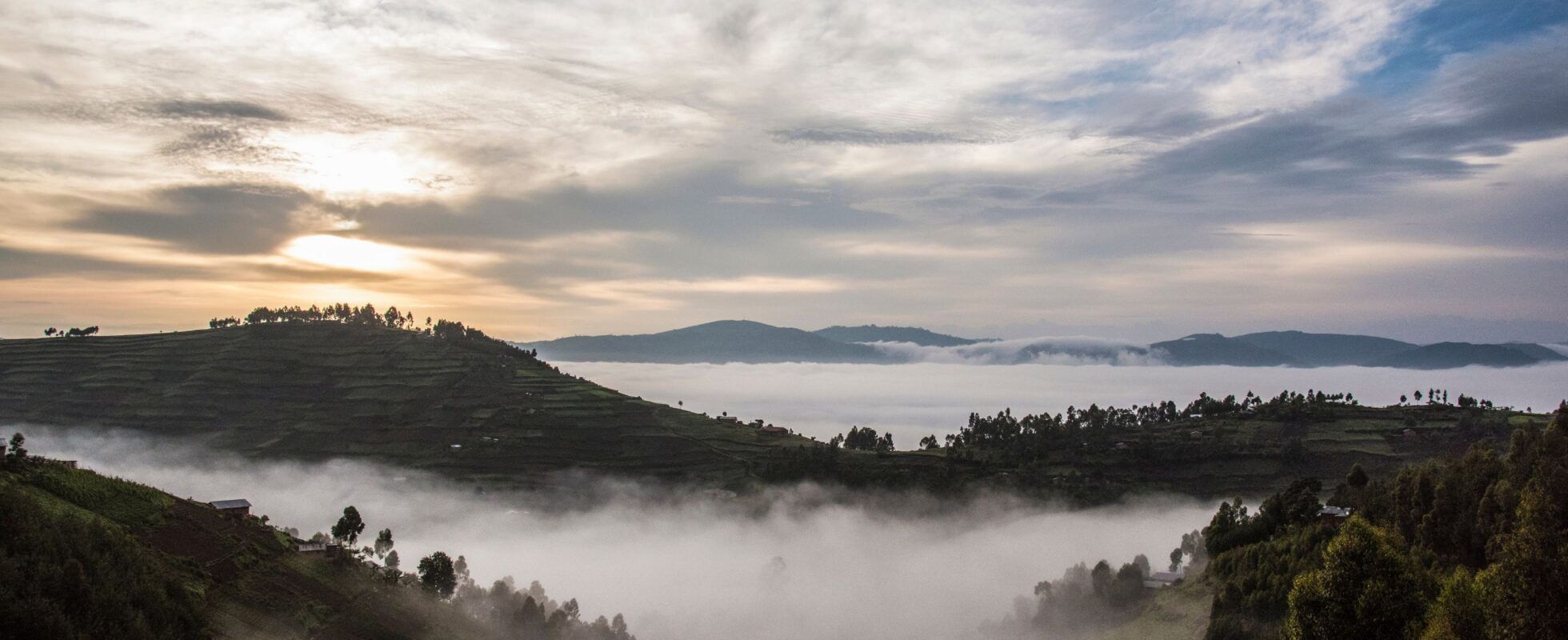 Misty Bwindi Impenetrable National Park with mountains in the background